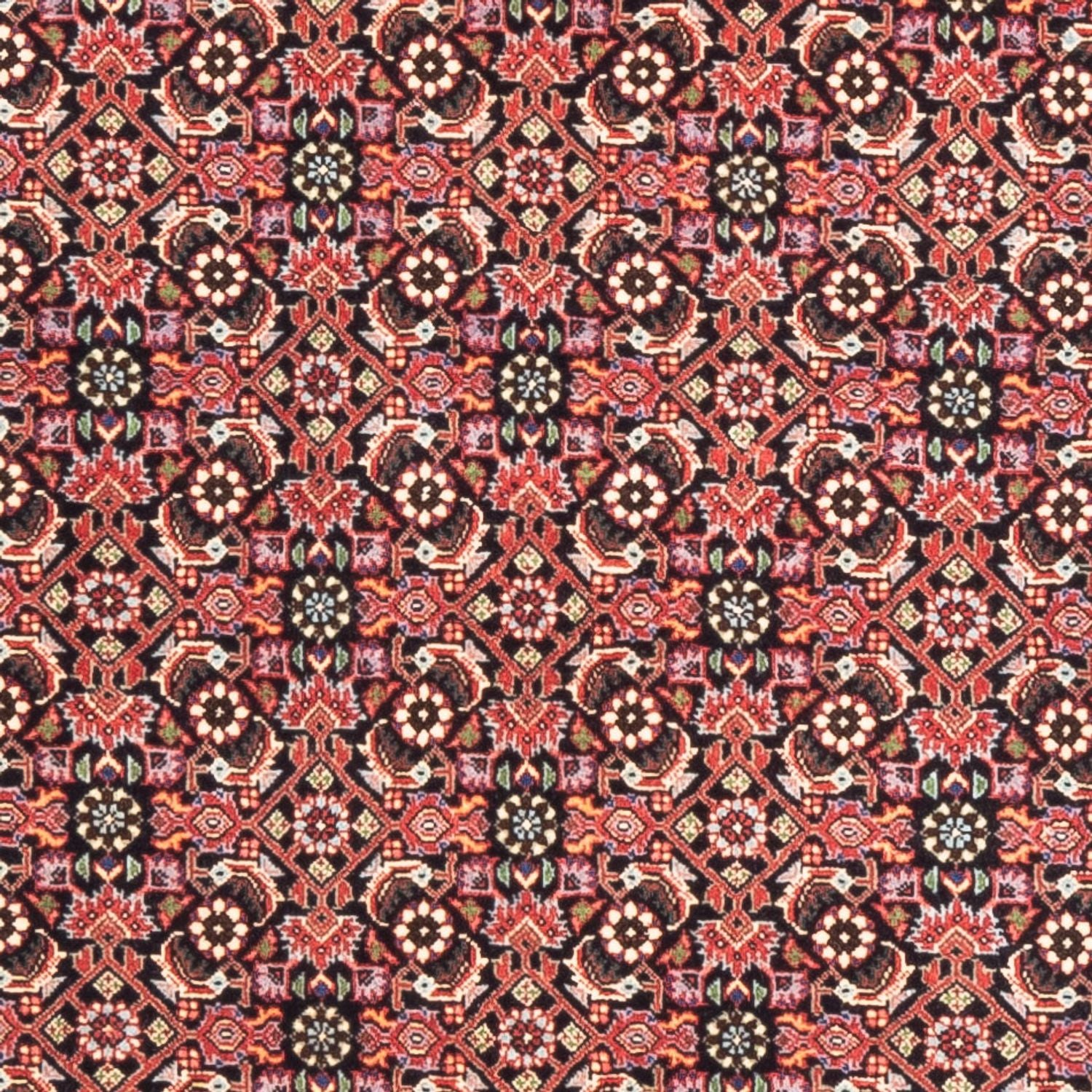 Läufer Perser - Bidjar - 189 x 82 cm - hellrot