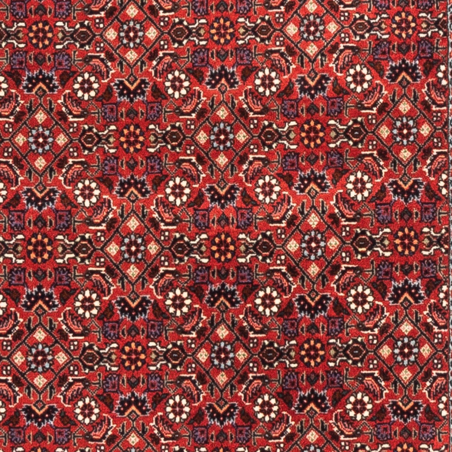 Läufer Perser - Bidjar - 192 x 75 cm - rot