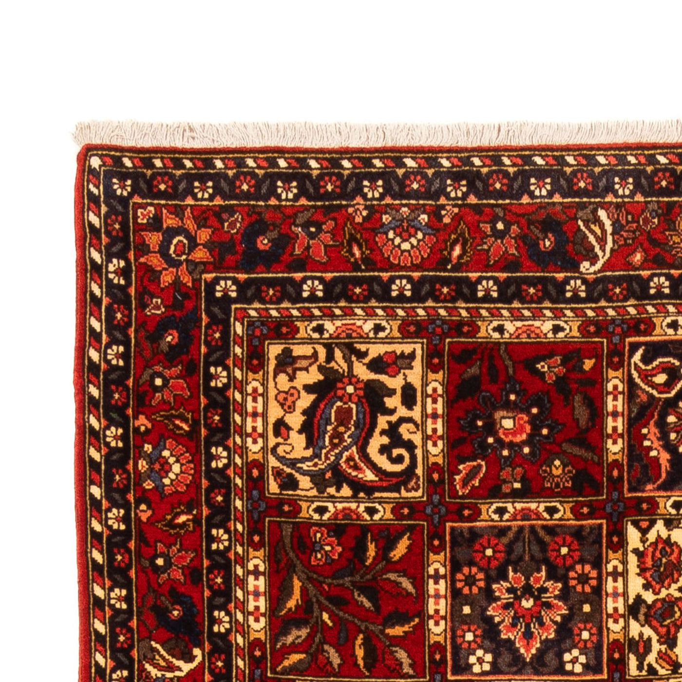 Tapis Bakhtiari Tapis 243x150cm - Tapis persan