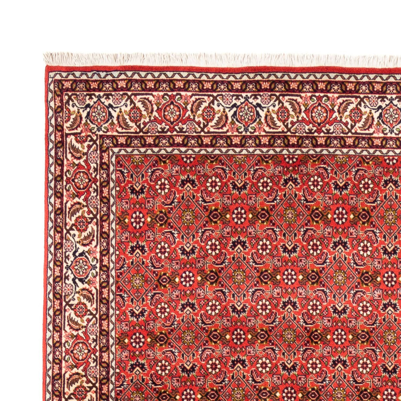 Bidjar - Bukan Teppich 242x168cm - Perserteppich
