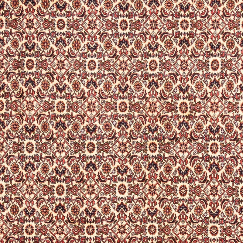 Perserteppich - Bidjar - Royal - 244 x 166 cm - beige