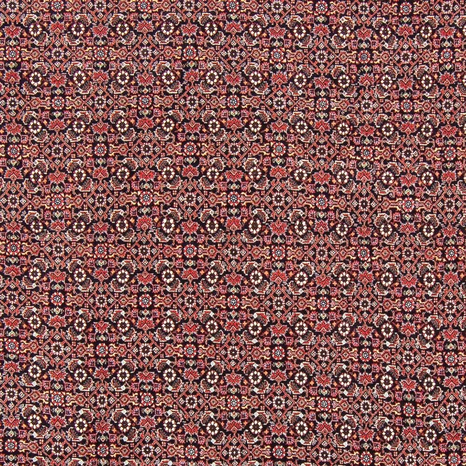 Perserteppich - Bidjar - Royal - 247 x 196 cm - dunkelblau