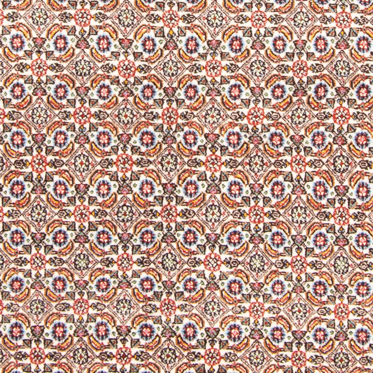 Perserteppich - Classic - 185 x 147 cm - creme