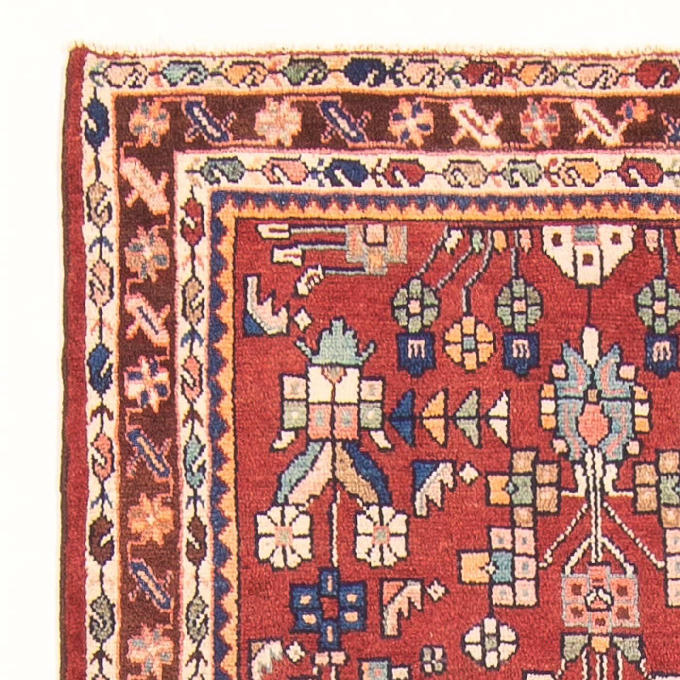 Kolyai Tapis 308x106cm - Tapis persan
