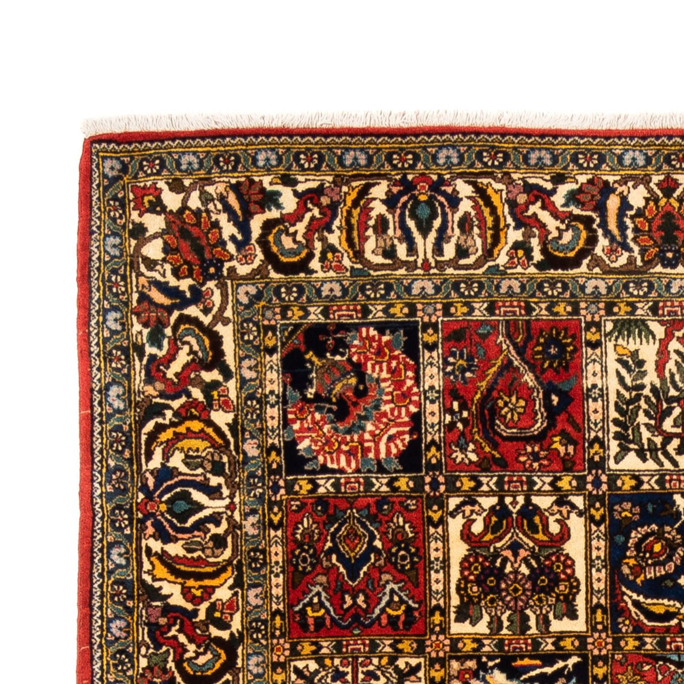 Bachtiar Teppich 250x155cm - Perserteppich