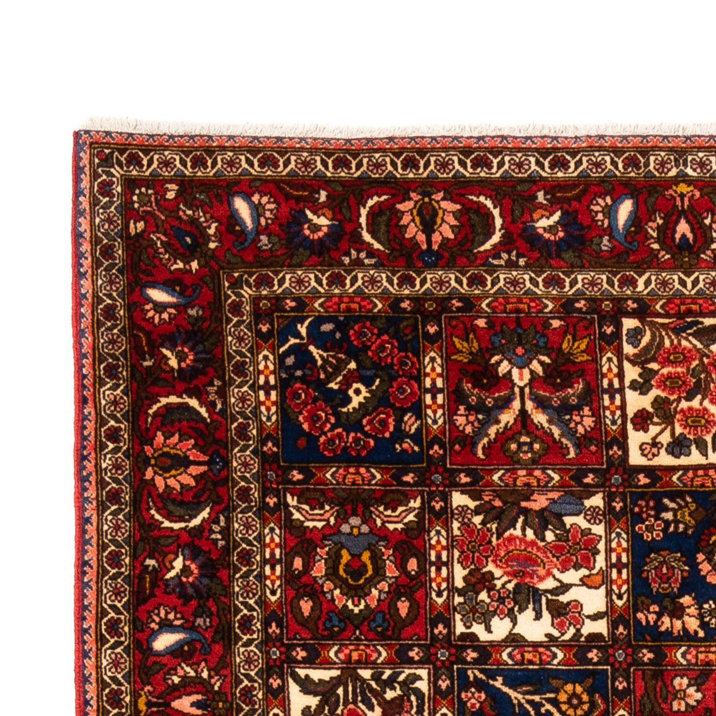 Tapis Bakhtiari Tapis 260x157cm - Tapis persan