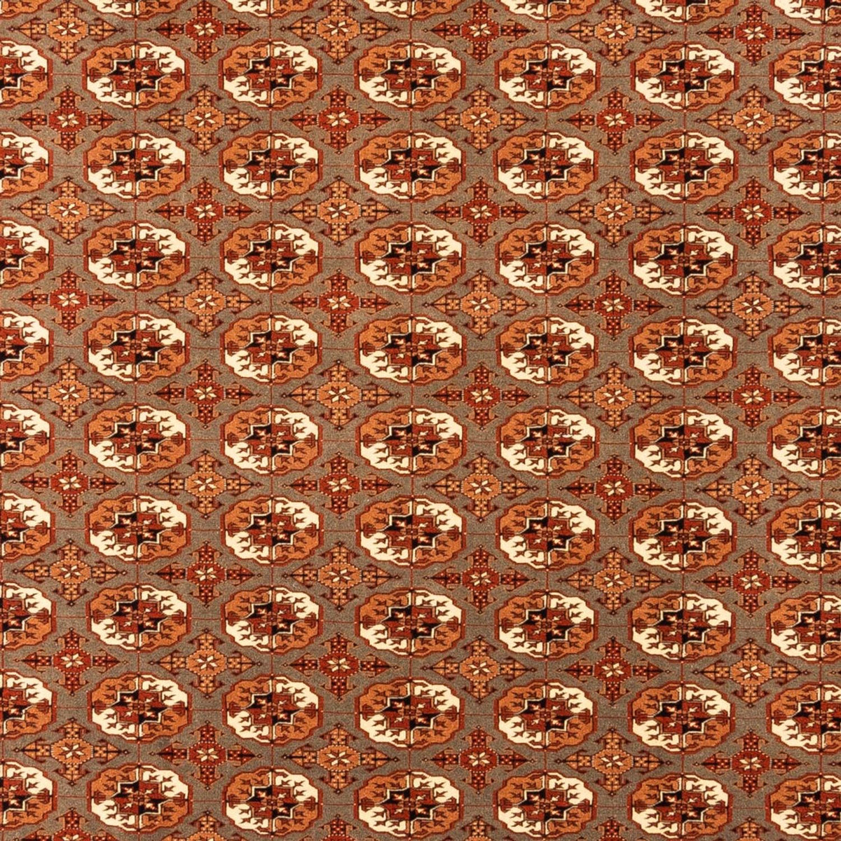 Turkaman Teppich - 305 x 205 cm - dunkelbeige