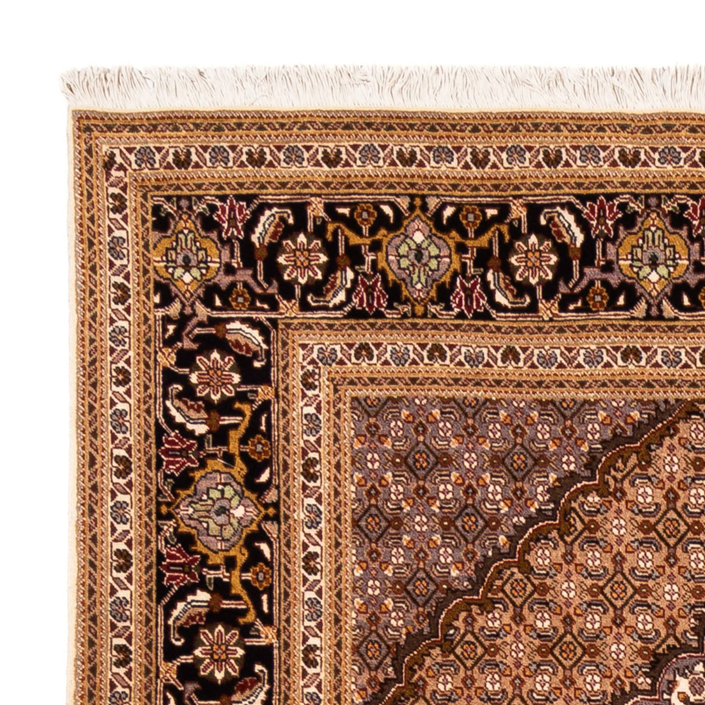 Täbriz - 50 Raj Teppich 256x250cm - Perserteppich