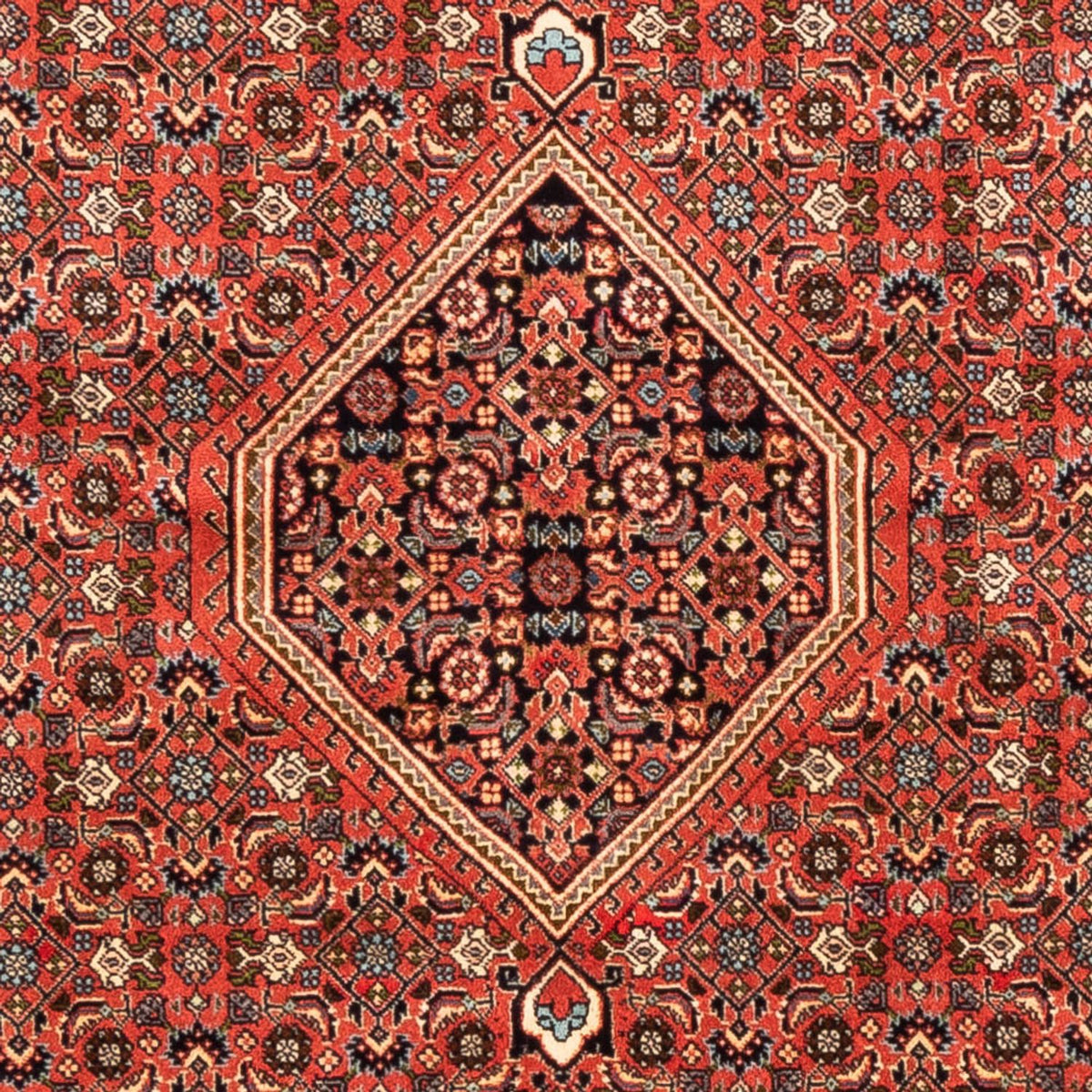 Perserteppich - Bidjar - Royal - 233 x 200 cm - hellrot