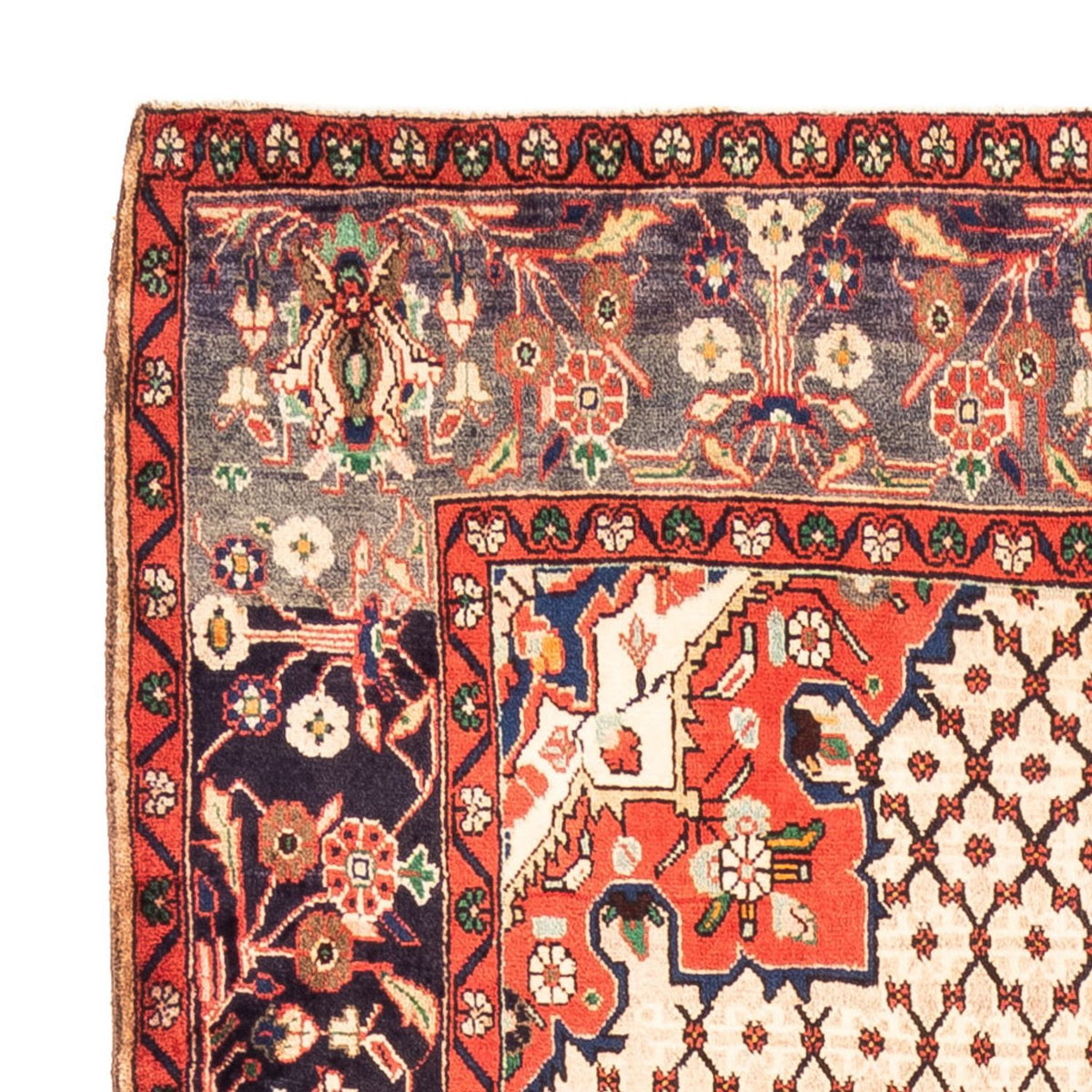 Kolyai Tapis 155x310cm - Tapis persan