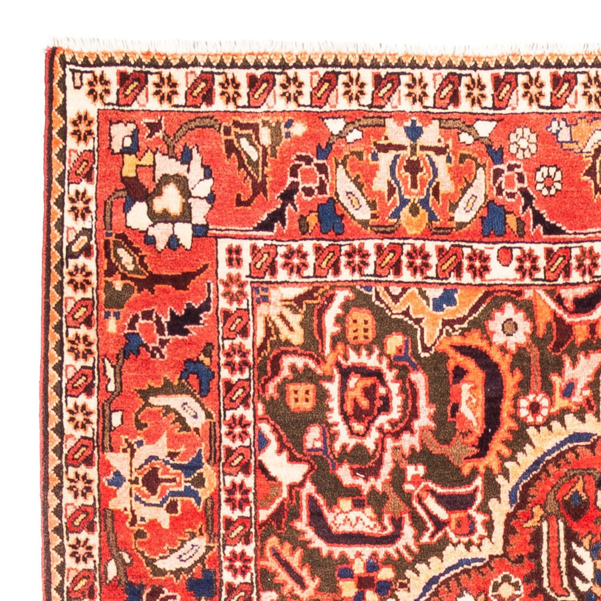 Bakhtiari Tappeto 175x300cm - Tappeto persiano