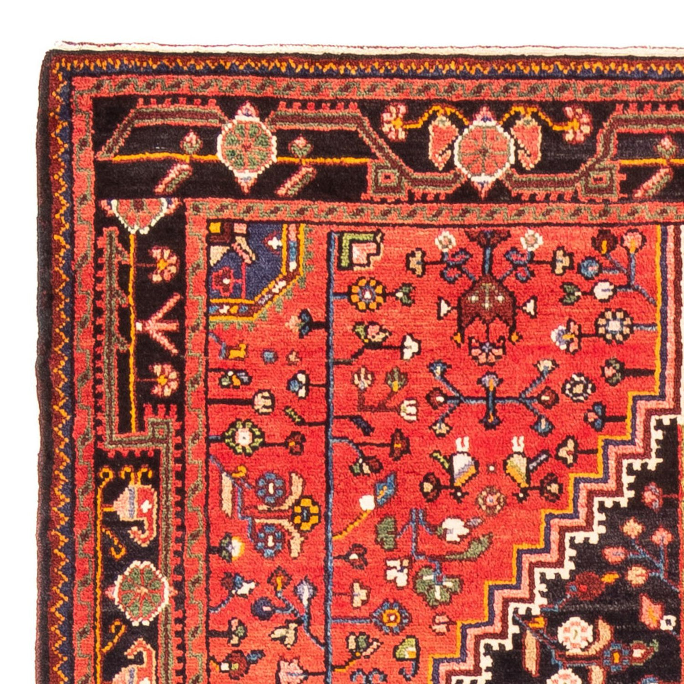 Hamadan Tappeto 295x150cm - Tappeto persiano