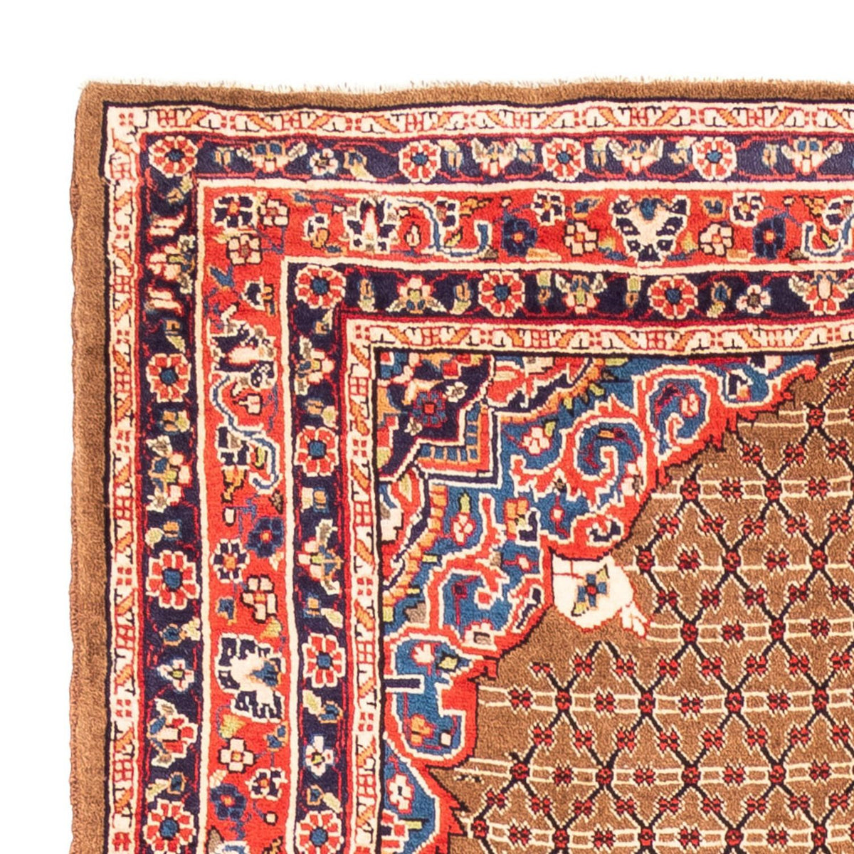 Kolyai Teppich 164x312cm - Perserteppich