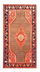 Kolyai Tappeto 265x157cm - Tappeto persiano