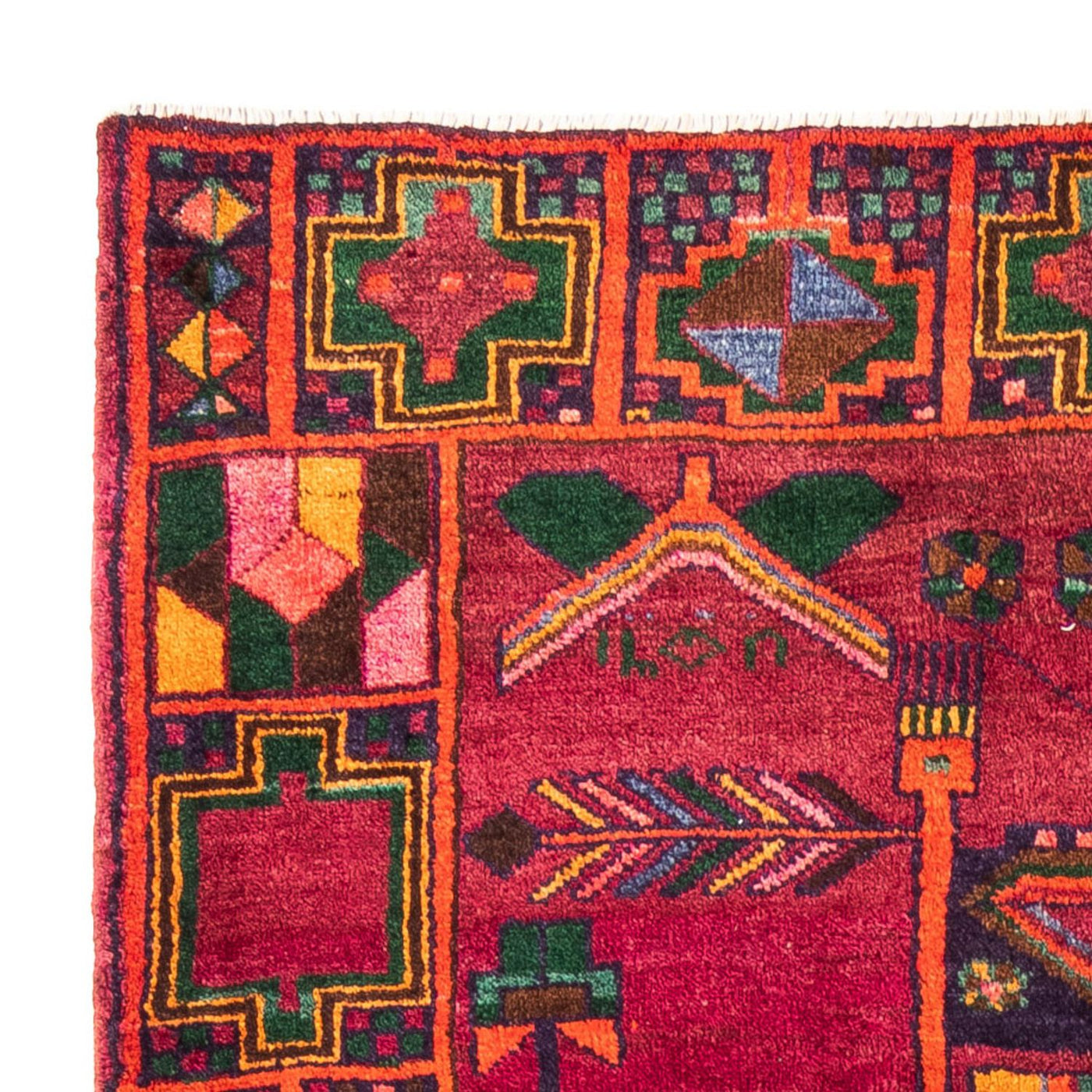 Kolyai Teppich 278x168cm - Perserteppich
