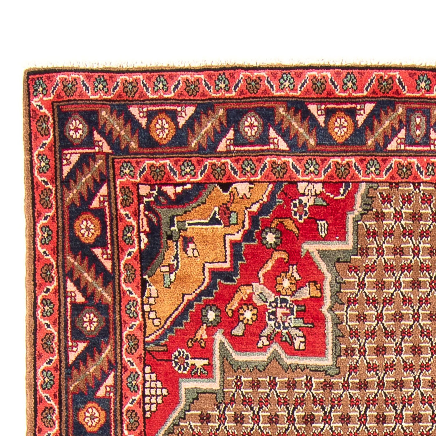 Kolyai Tapis 285x155cm - Tapis persan