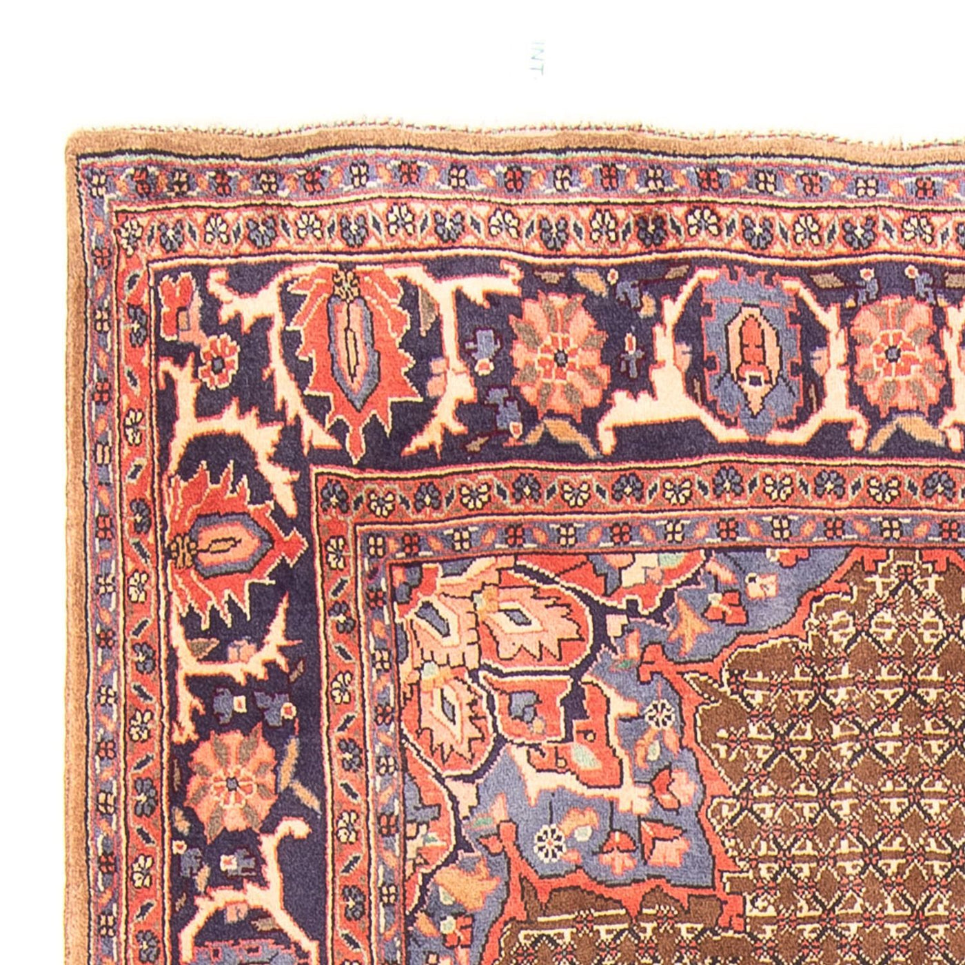 Kolyai Tappeto 295x157cm - Tappeto persiano
