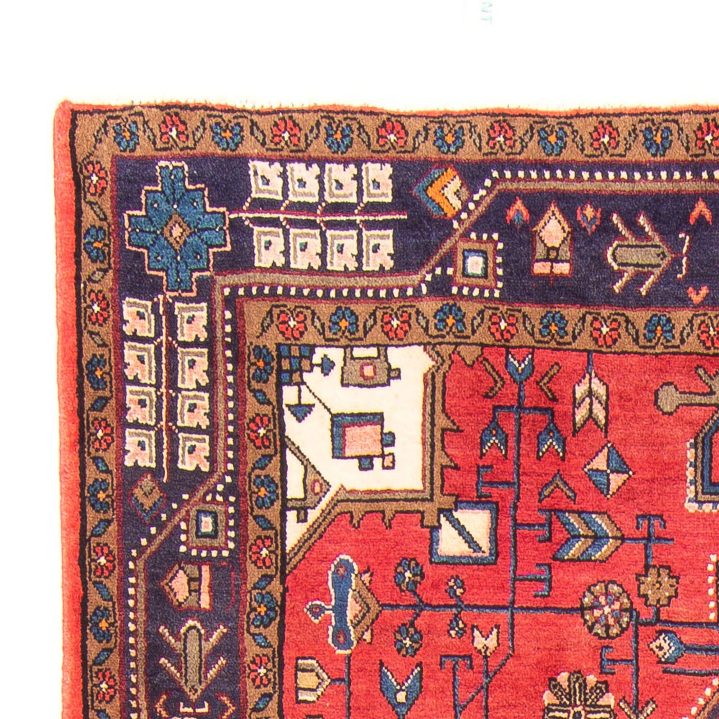 Kolyai Teppich 257x150cm - Perserteppich