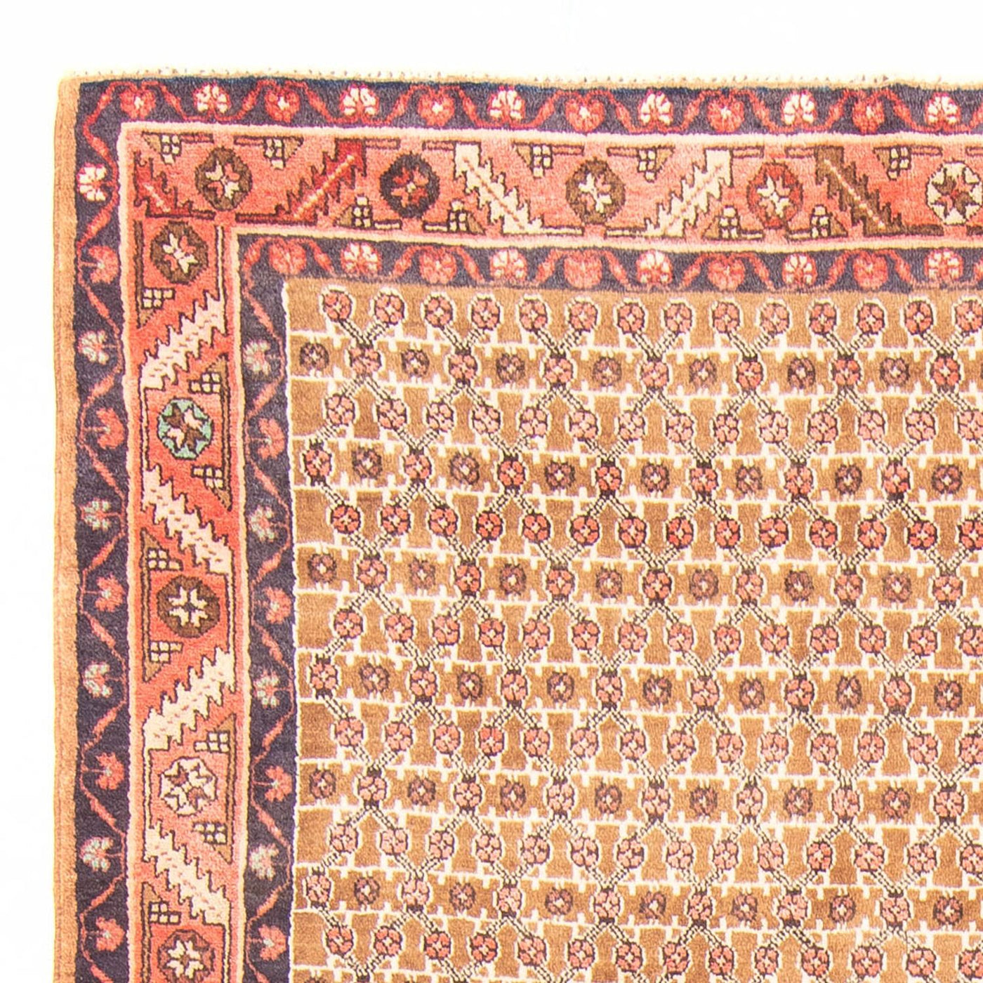Kolyai Tapis 343x146cm - Tapis persan