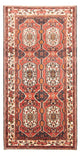 Tapis Bakhtiari Tapis 300x166cm - Tapis persan