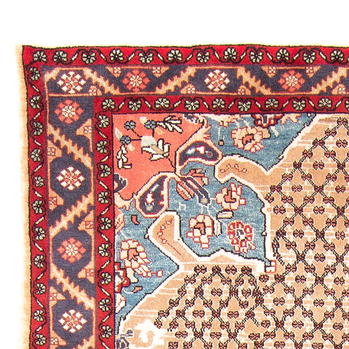 Kolyai Teppich 290x150cm - Perserteppich