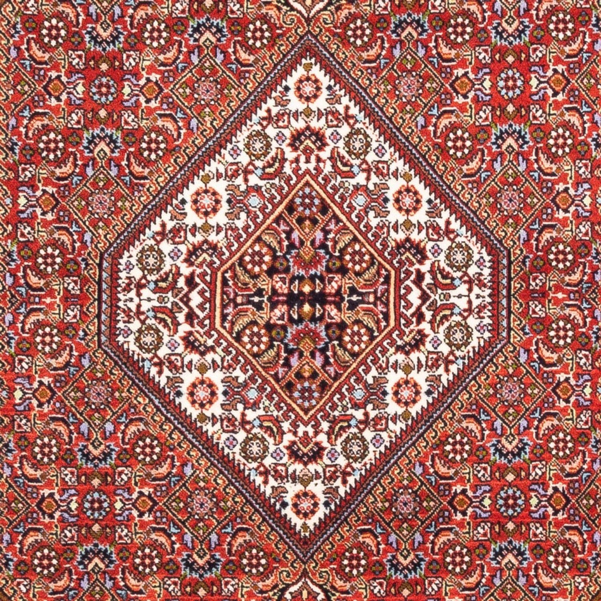 Perserteppich - Bidjar - Royal - 176 x 108 cm - rot