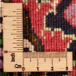 Perserteppich - Bidjar - Royal - 300 x 200 cm - rot