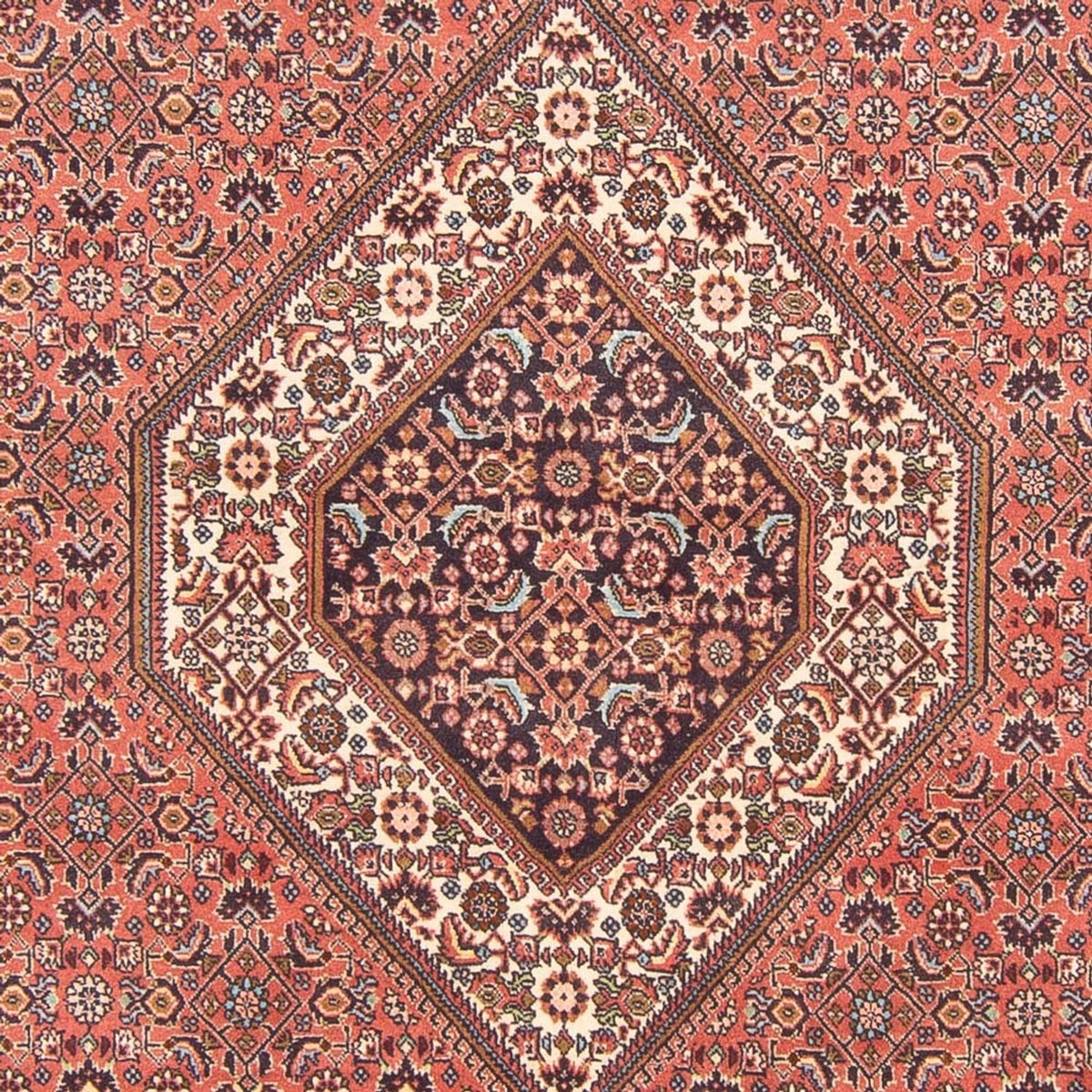 Perserteppich - Bidjar - Royal - 290 x 200 cm - rot