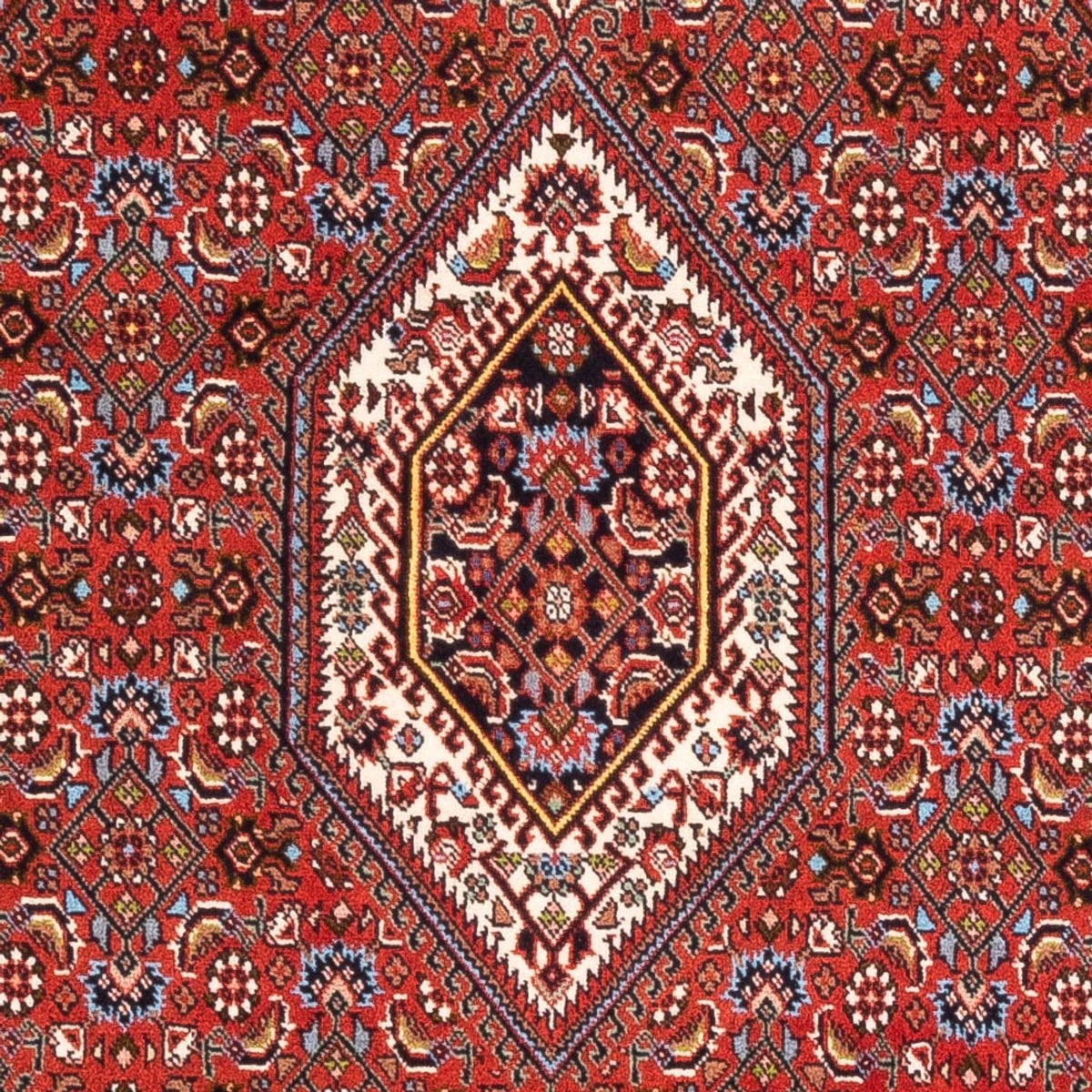 Perserteppich - Bidjar - Royal - 174 x 107 cm - rot