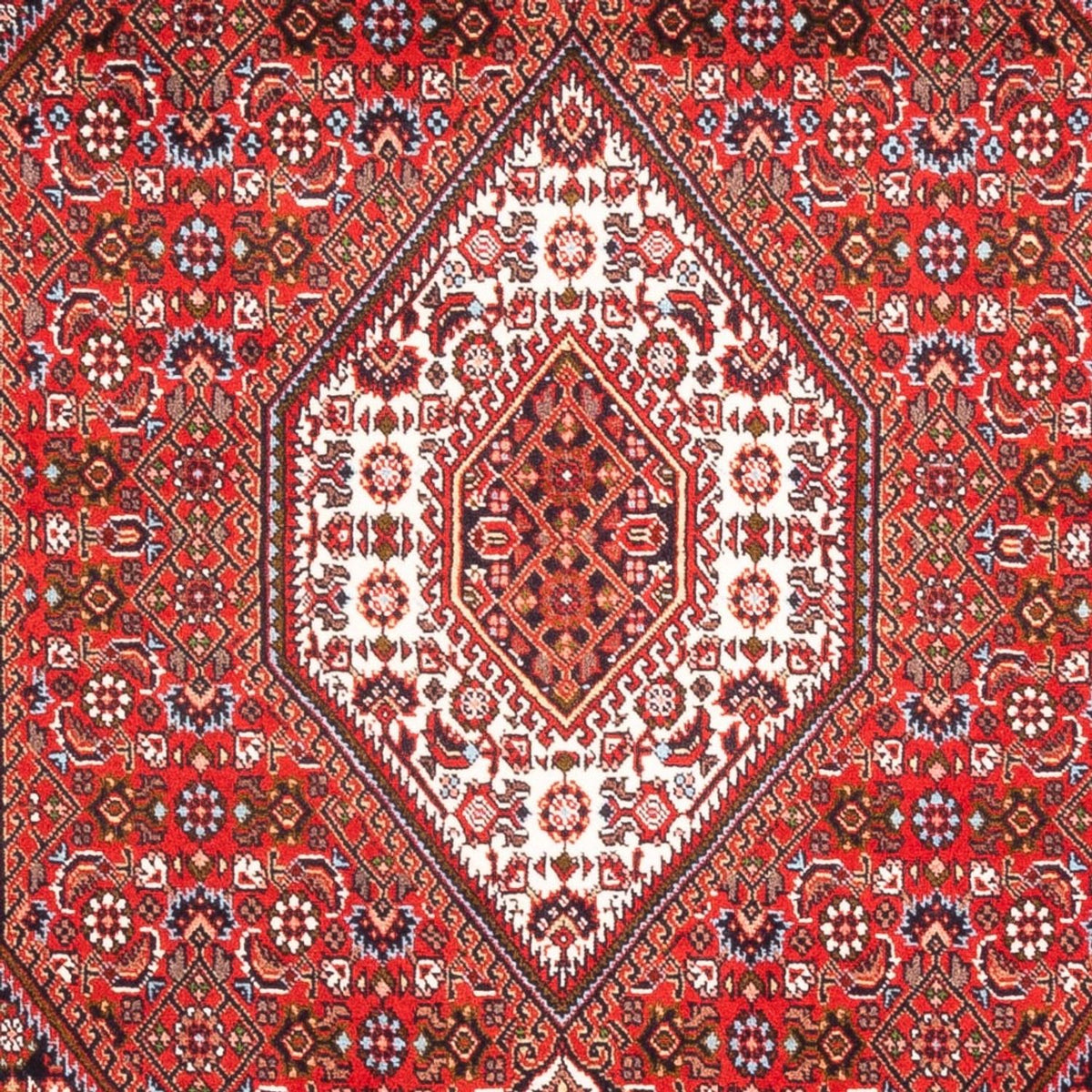 Perserteppich - Bidjar - Royal - 183 x 110 cm - rot