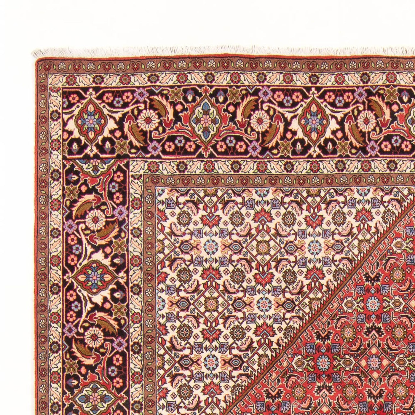 Bidjar - Bukan Tappeto 294x200cm - Tappeto persiano
