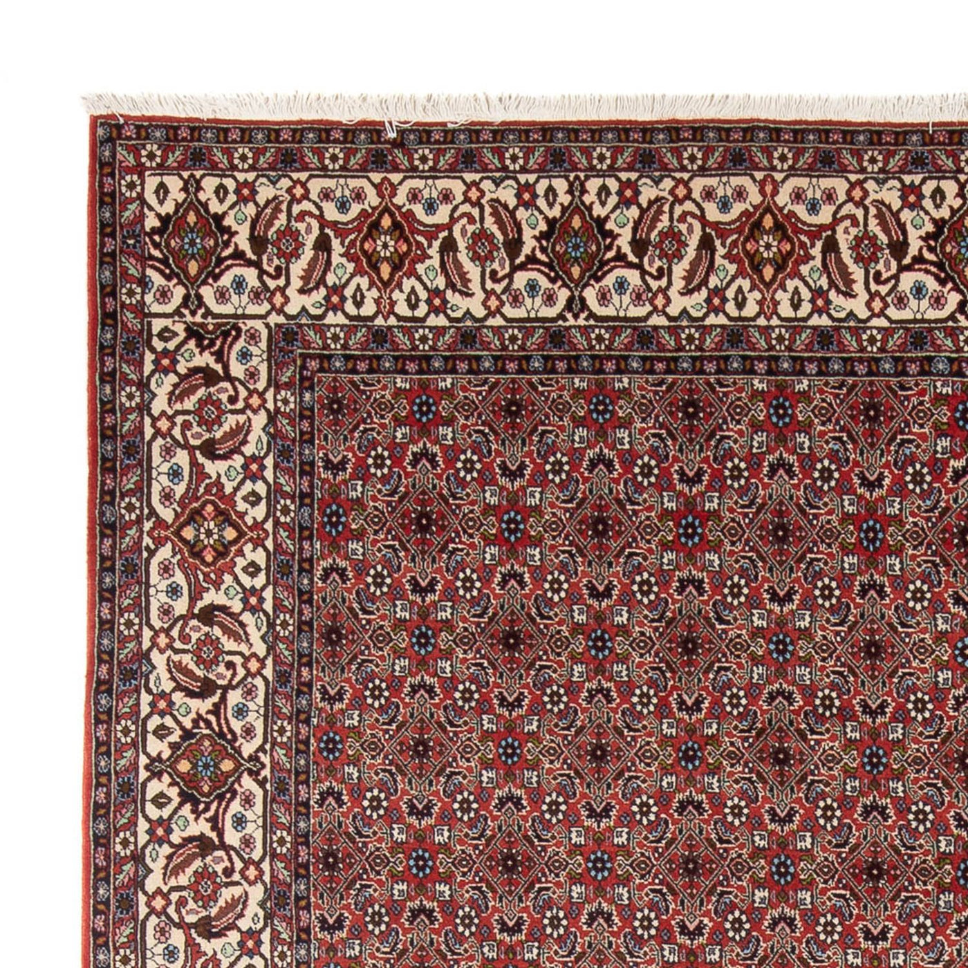 Bidjar - Bukan Tapis 296x248cm - Tapis persan