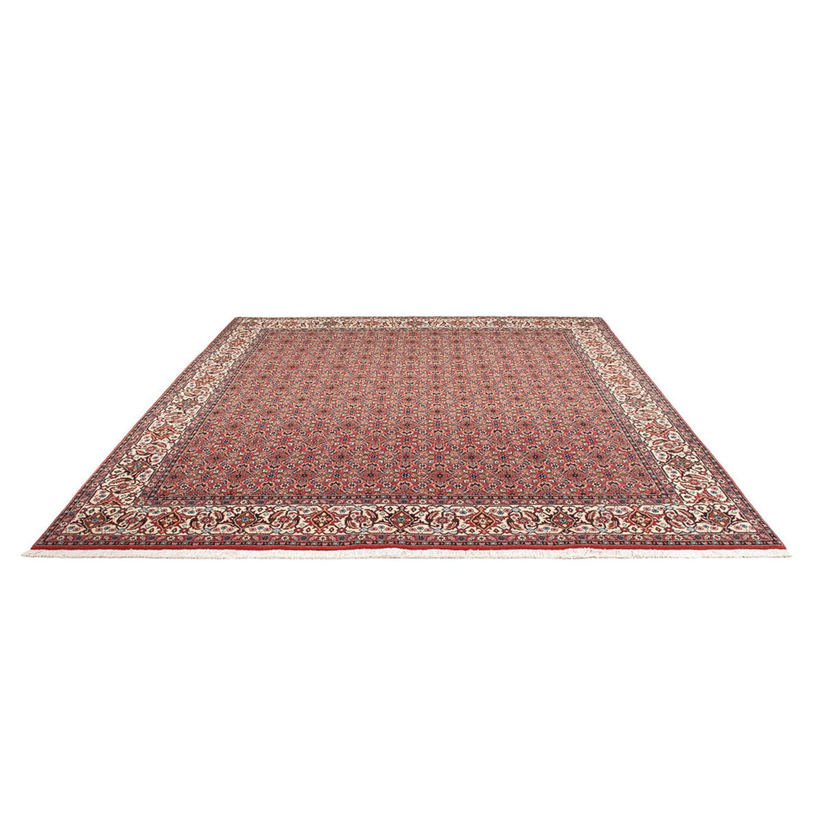 Perserteppich - Bidjar - Royal - 296 x 248 cm - dunkelrot