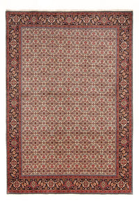Tapis persan - Bidjar - 290 x 200 cm - crème
