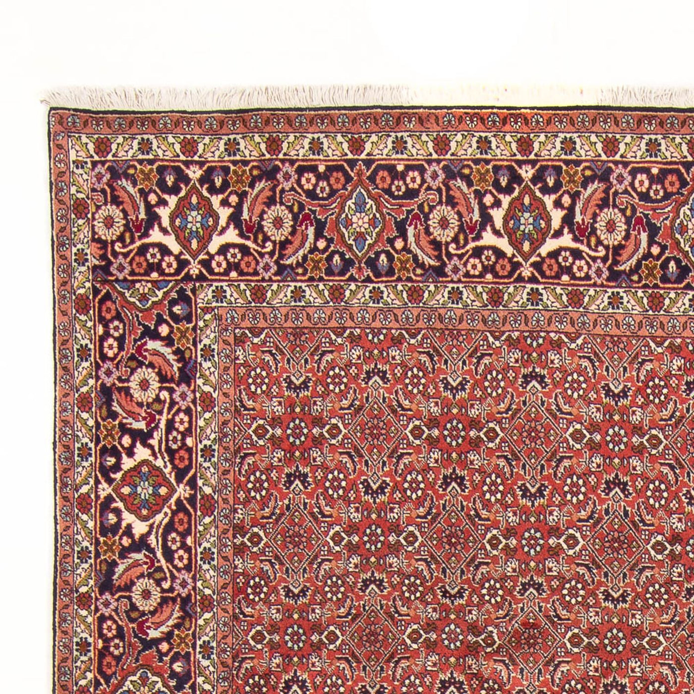 Bidjar - Bukan Tappeto 305x200cm - Tappeto persiano