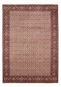 Tapis persan - Bidjar - 294 x 200 cm - crème