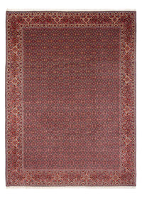Tapis persan - Bidjar - 337 x 260 cm - bleu foncé