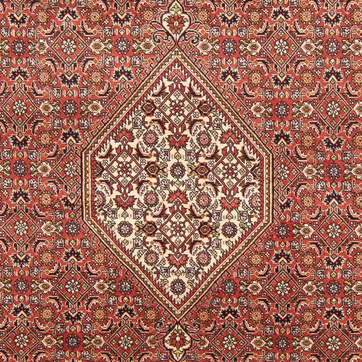 Perserteppich - Bidjar - Royal - 293 x 197 cm - rot