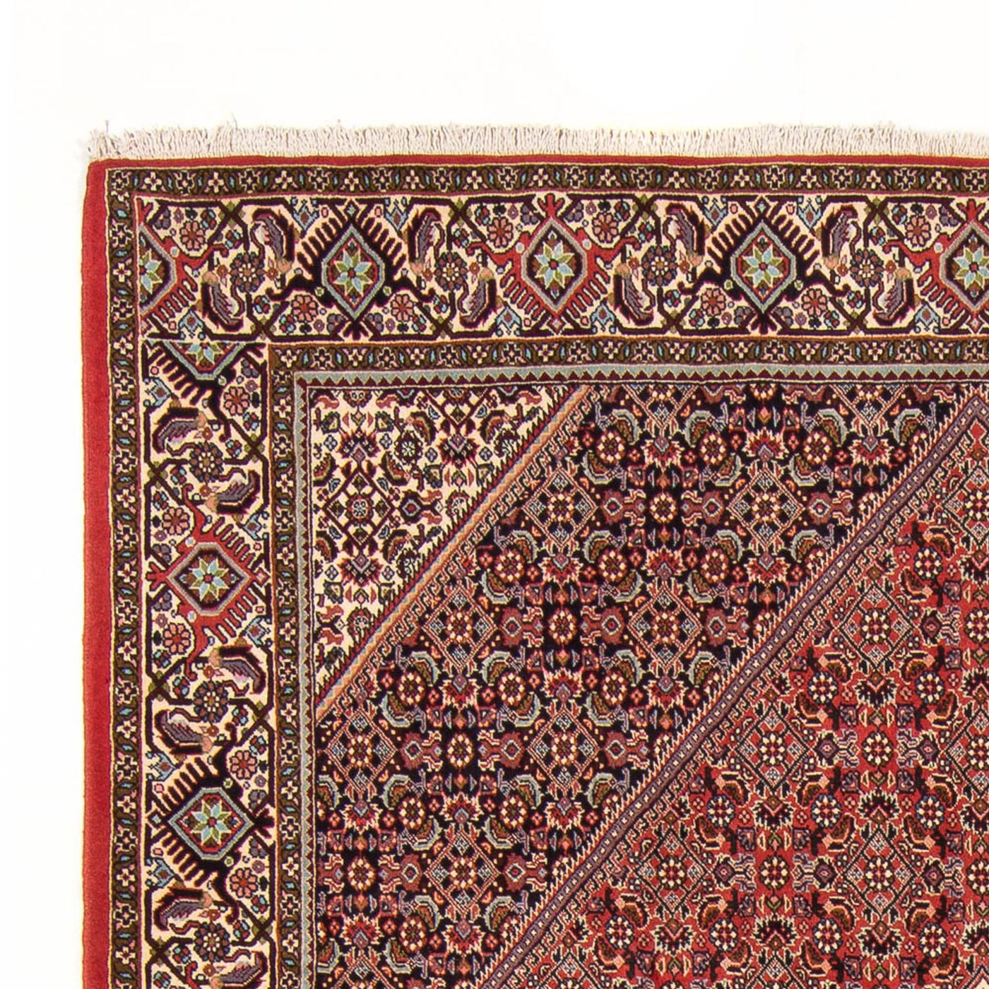 Bidjar - Bukan Tappeto 294x200cm - Tappeto persiano