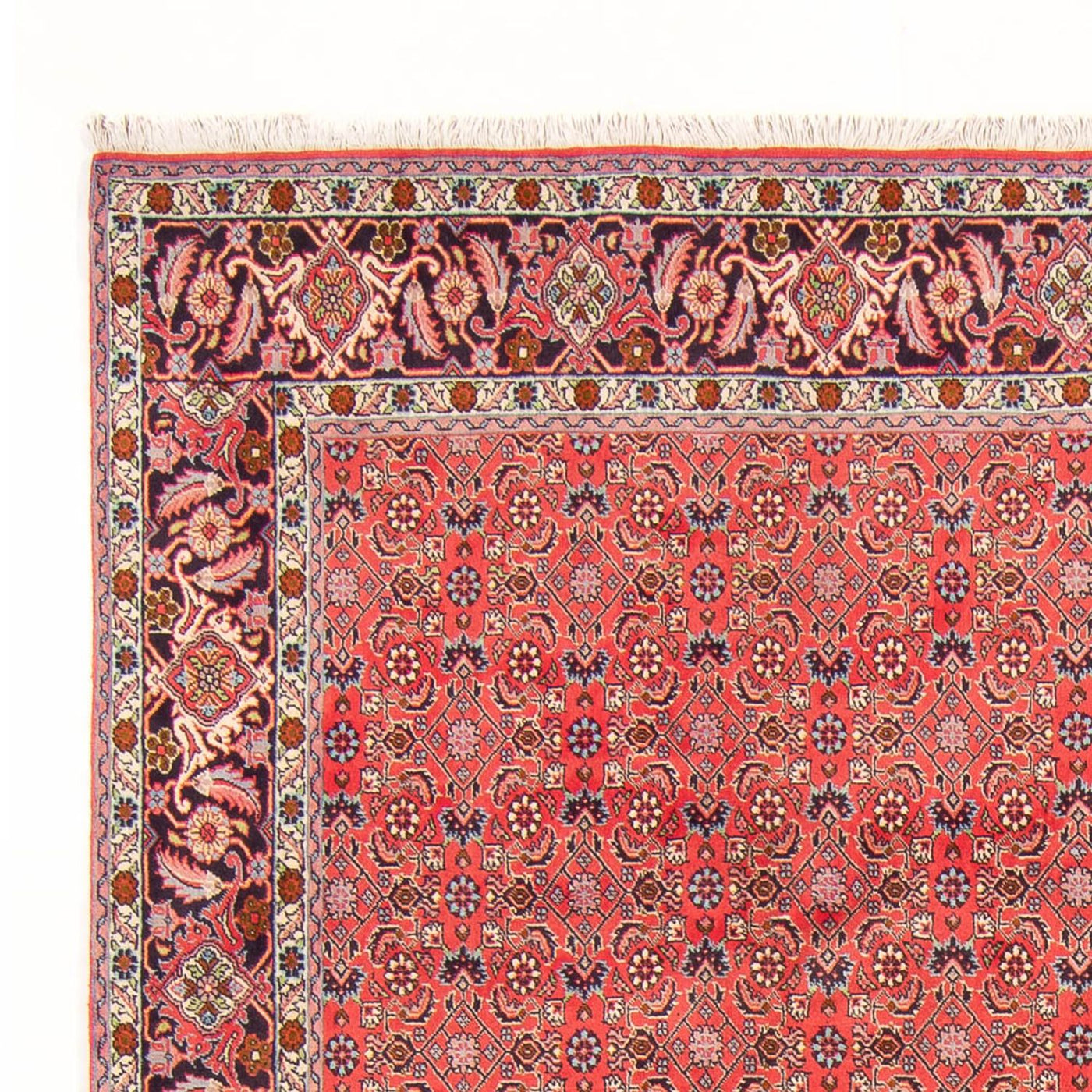 Bidjar - Bukan Teppich 294x200cm - Perserteppich