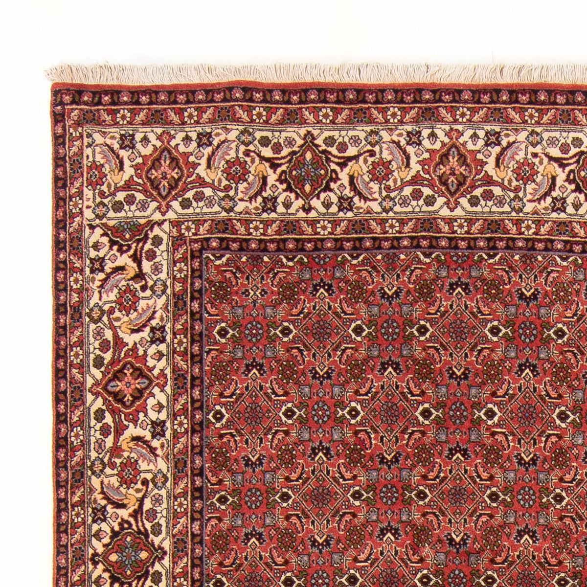 Bidjar - Bukan Tappeto 195x289cm - Tappeto persiano