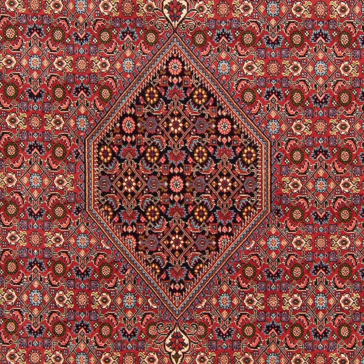 Perserteppich - Bidjar - Royal - 302 x 199 cm - rot