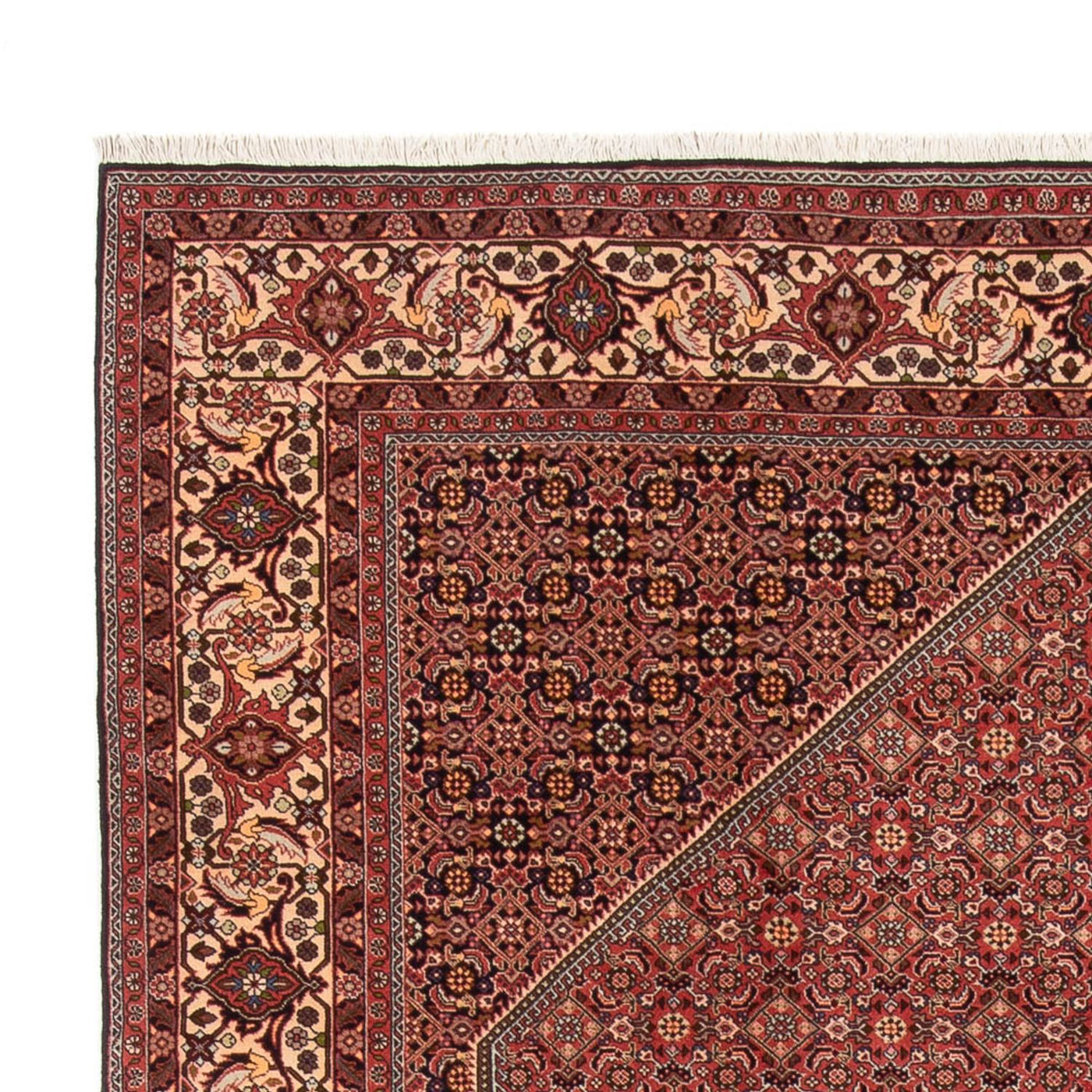 Bidjar - Bukan Teppich 340x250cm - Perserteppich