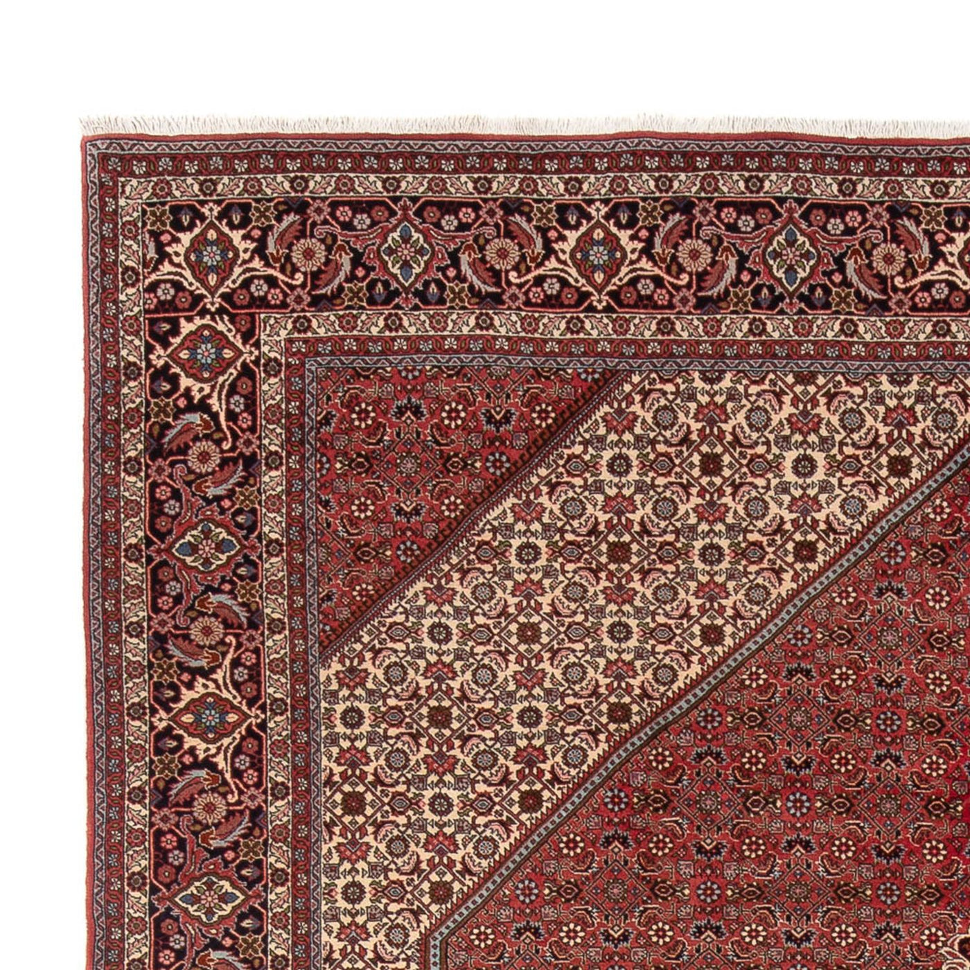 Bidjar - Bukan Teppich 348x250cm - Perserteppich