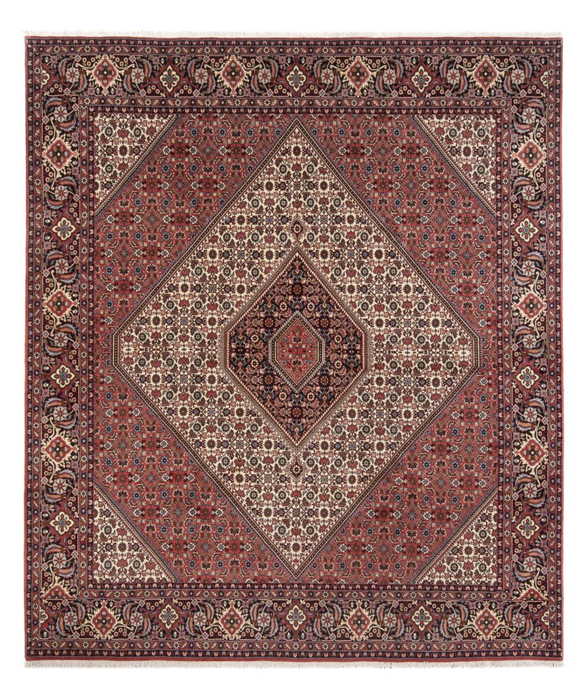 Perserteppich - Bidjar - Royal - 296 x 252 cm - creme