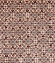 Perserteppich - Bidjar - Royal - 344 x 245 cm - creme