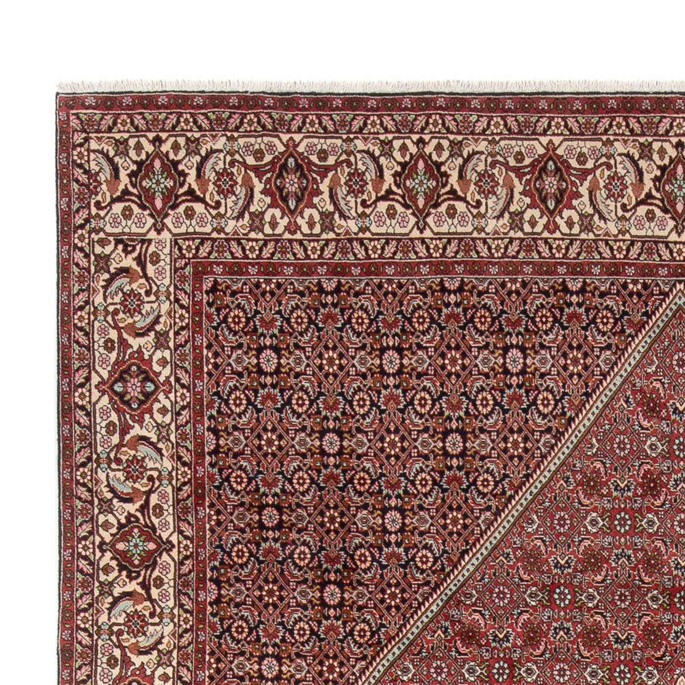 Bidjar - Bukan Tappeto 343x250cm - Tappeto persiano