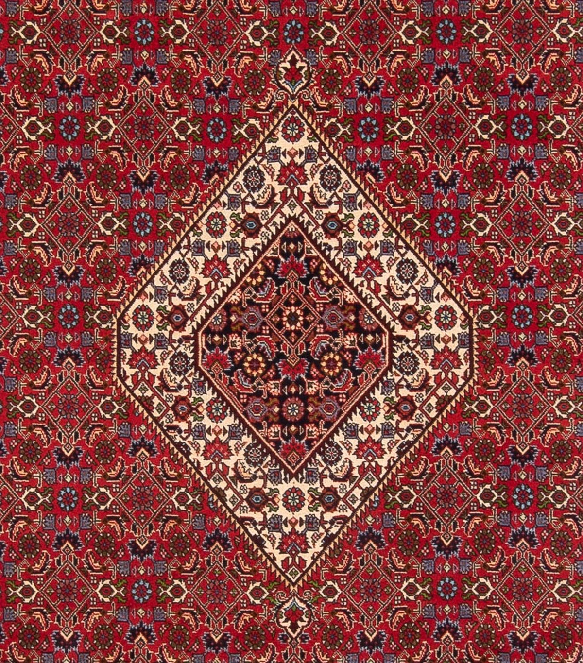Perserteppich - Bidjar - Royal - 358 x 249 cm - rot