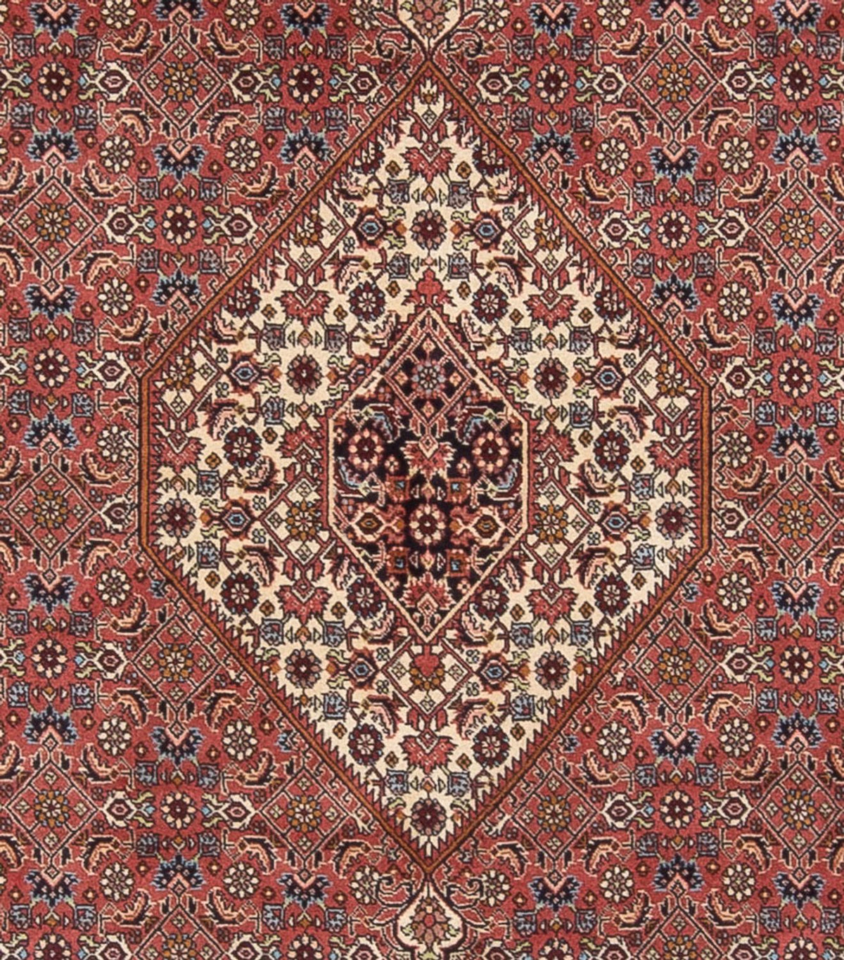 Perserteppich - Bidjar - Royal - 299 x 244 cm - dunkelrot