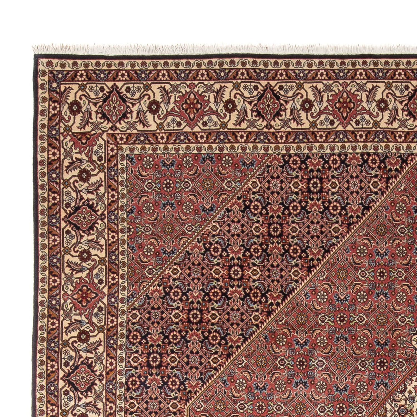 Bidjar - Bukan Tappeto 299x244cm - Tappeto persiano